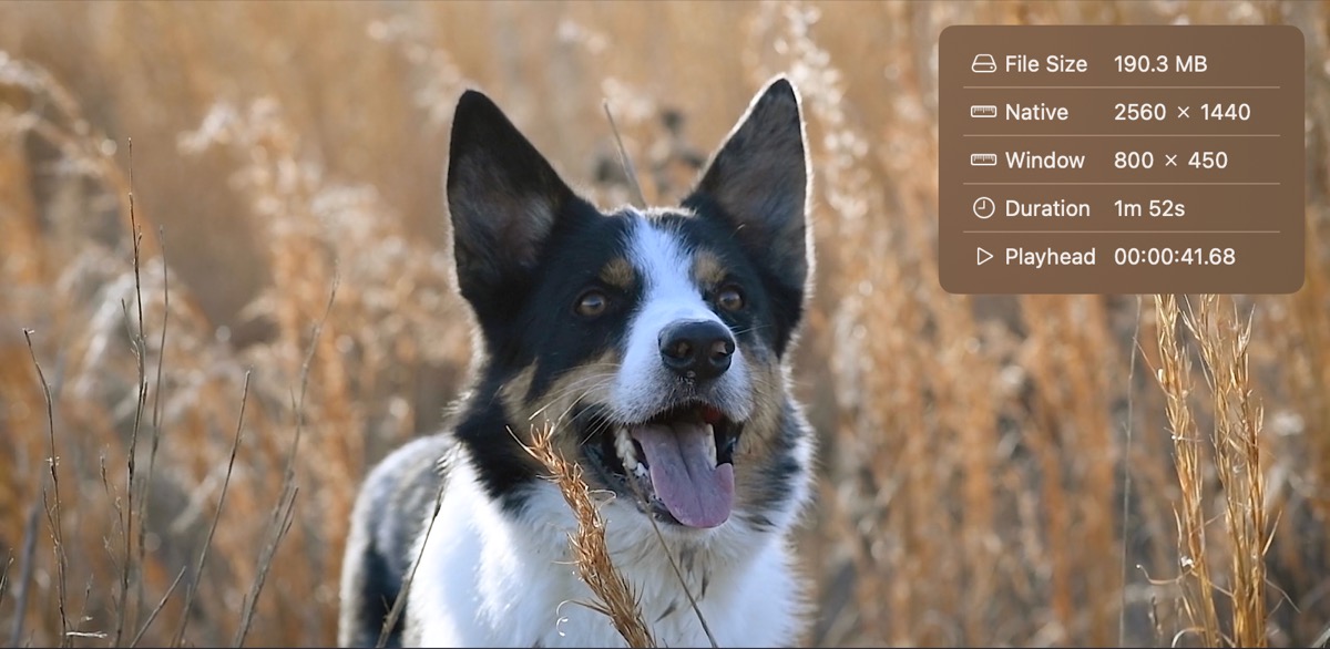 Screenshot of Trimster